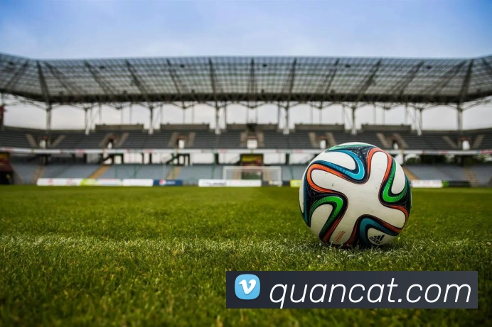 App Interface Preview