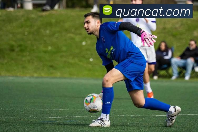 半岛网页版登录入口APP 封面图